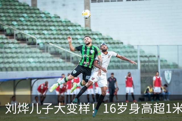 刘烨儿子大变样！16岁身高超1米8惹人羡慕，如今和父亲共用一张脸