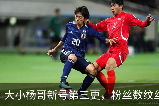 大小杨哥新号第三更，粉丝数纹丝不动