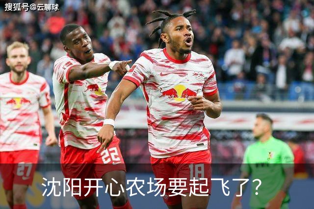 沈阳开心农场要起飞了？
