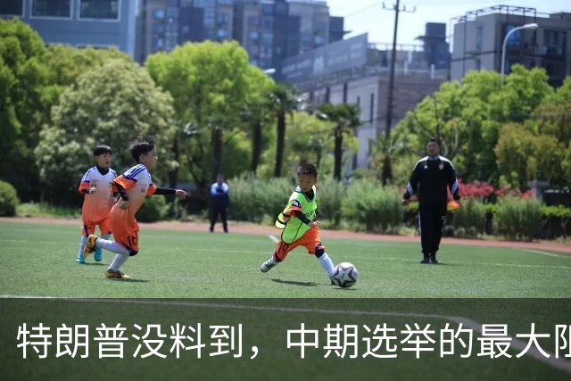 特朗普没料到，中期选举的最大阻力，竟然是美国国会的那封公开信