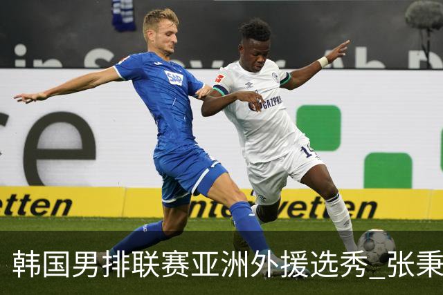 韩国男排联赛亚洲外援选秀 张秉龙邓忻朋榜上有名